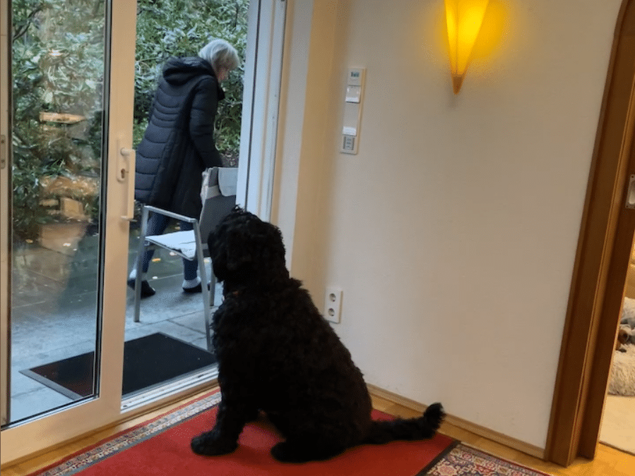 Jessie mit Wanda